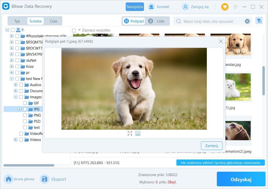 Bitwar Data Recovery-4.1-preview jpeg