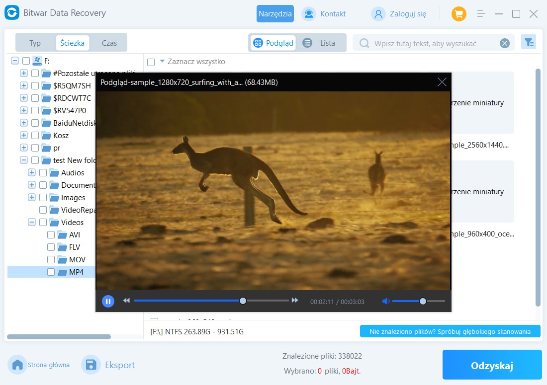 Bitwar Data Recovery-MP4