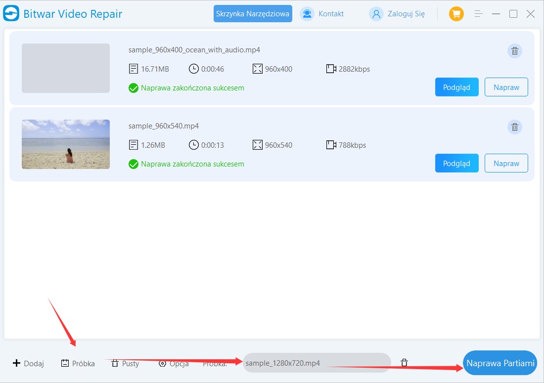 Bitwar Video Repair - Próbka